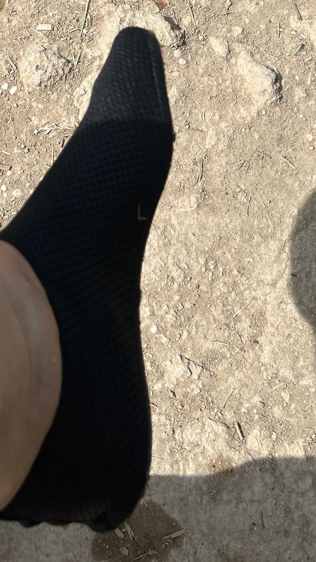 ToskanaMaremmaElba 6. Tag