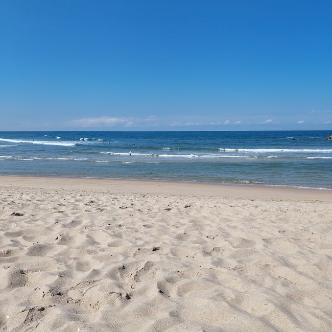 Espinho