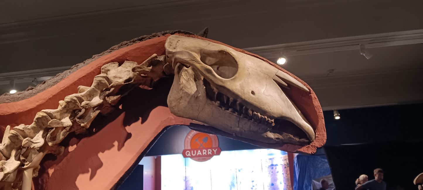 Museum of natural history I