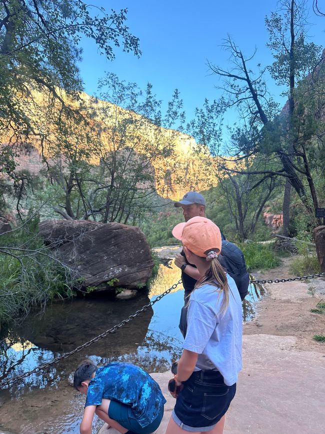 Zion Nationalpark