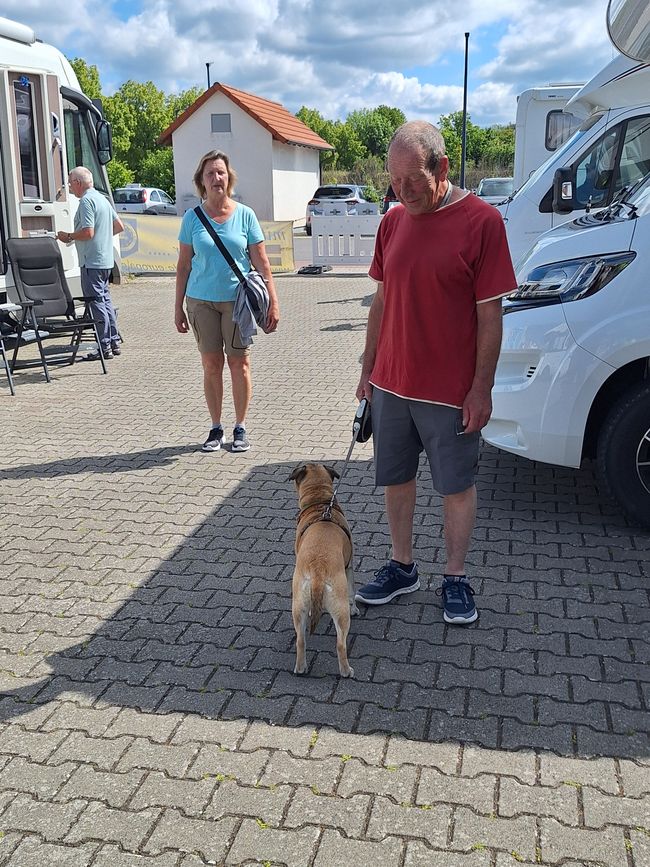 e camminata