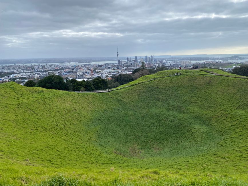 Auckland numero 1