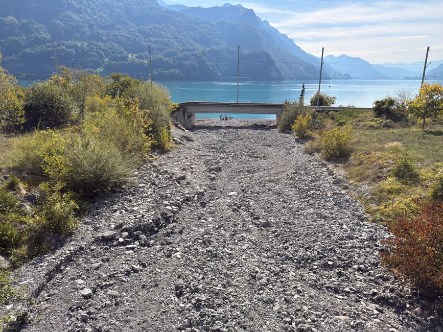 Über den Brünig nach Brienz 