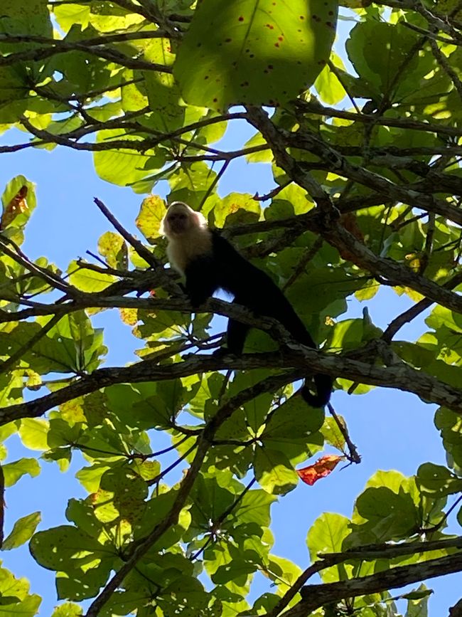 ...und der zweite kommt dazu