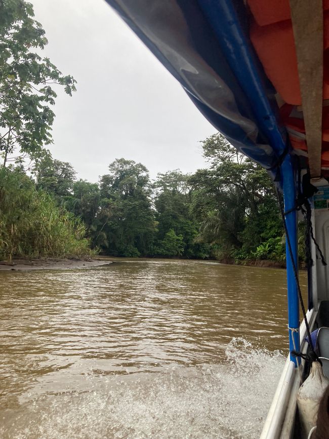 Tortuguero