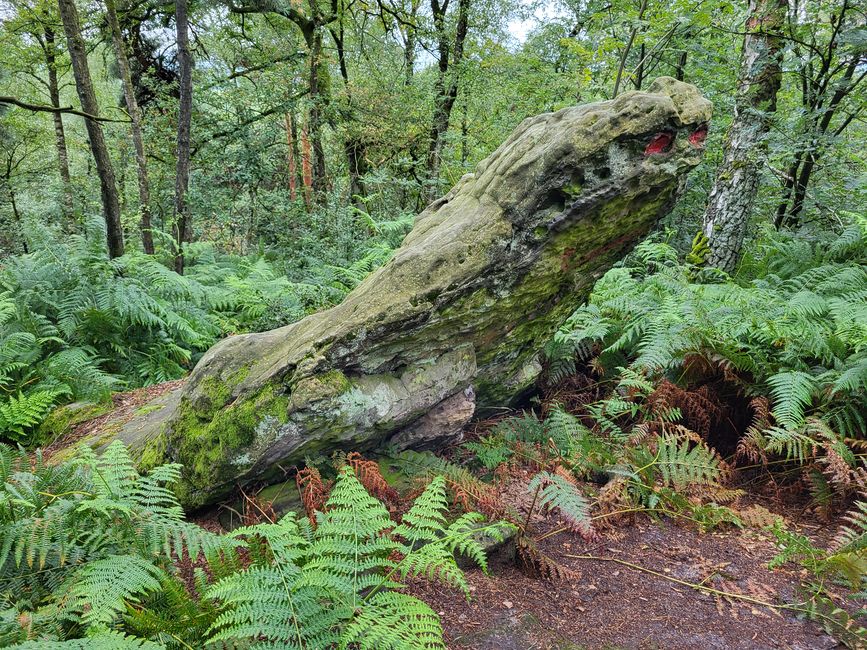Wanderung zu den Dörenther Klippen