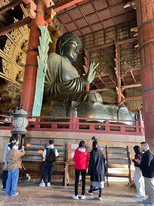15. Capitolo: Visita al grande Buddha e sabato pomeriggio nel parco con proposta dal vivo