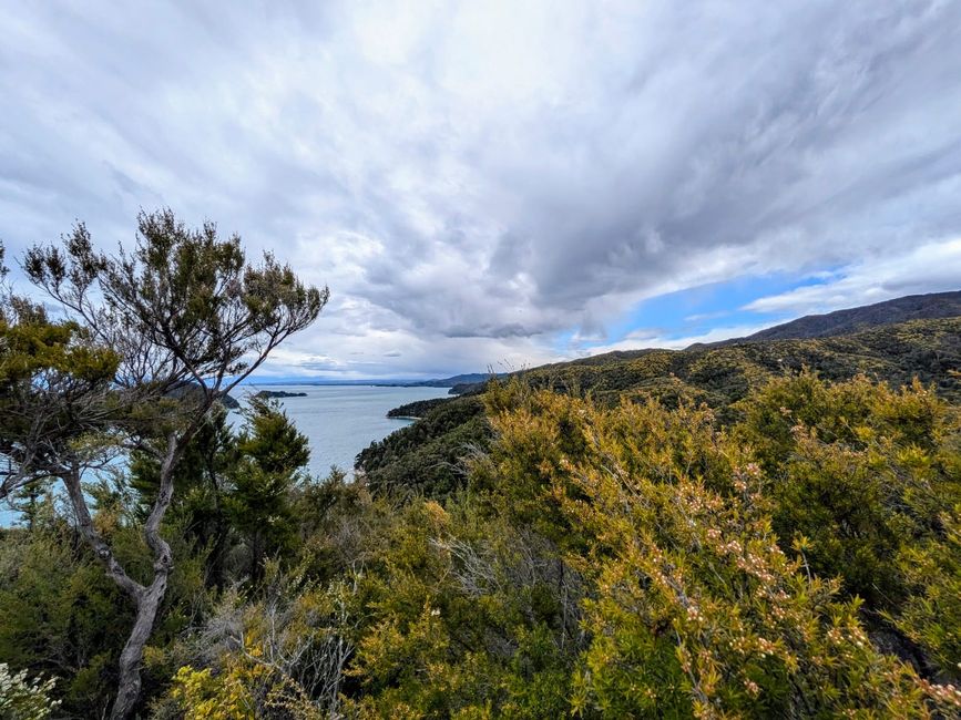 Mit dem Kajak raus auf die Sandy Bay im Abel Tasman-NP