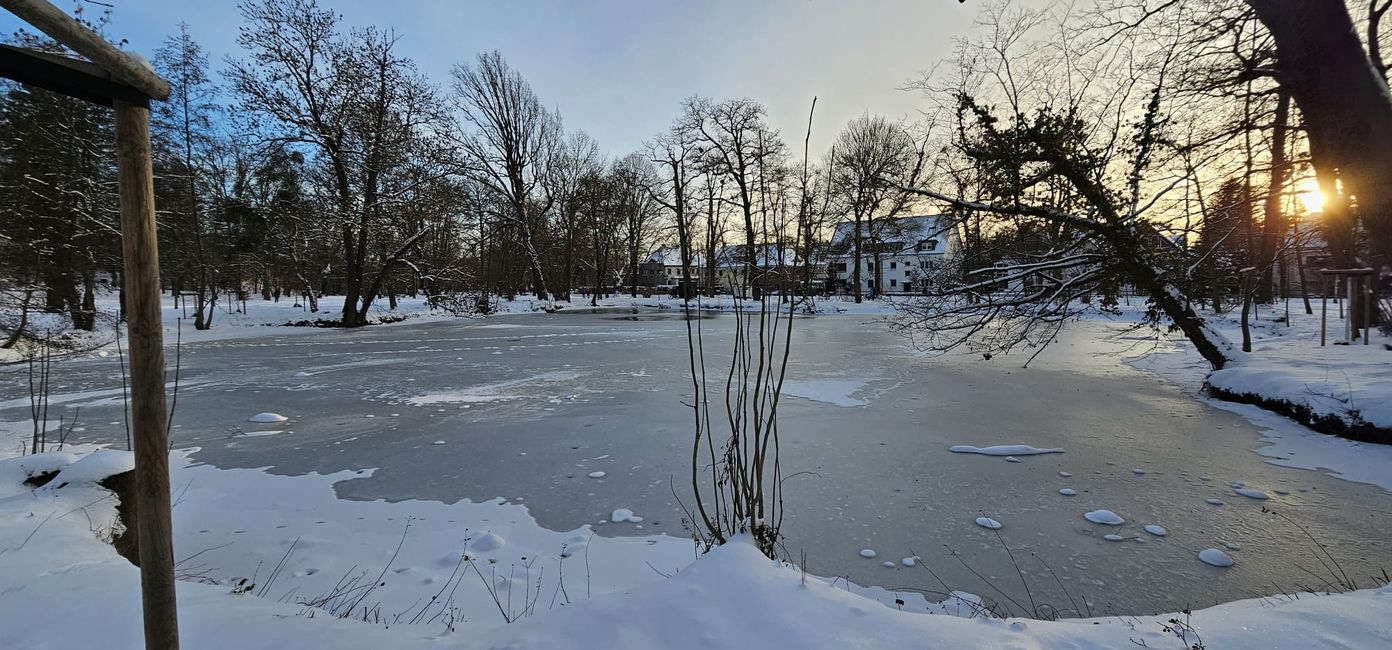 Mal Zuhause in Hildesheim ☺️ Ernst-Ehrlicher-Park am Hohnsensee