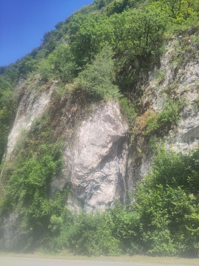 Jura Kalkfelsen