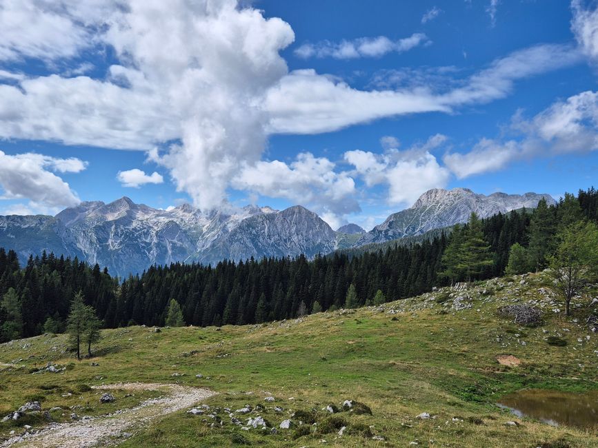 Nauf auf die Alm🐄