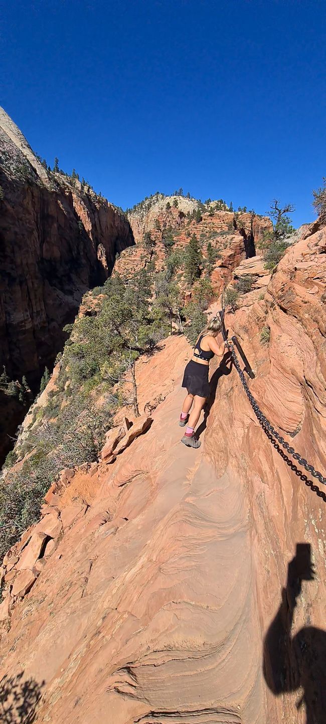 02.10. Zion National Park