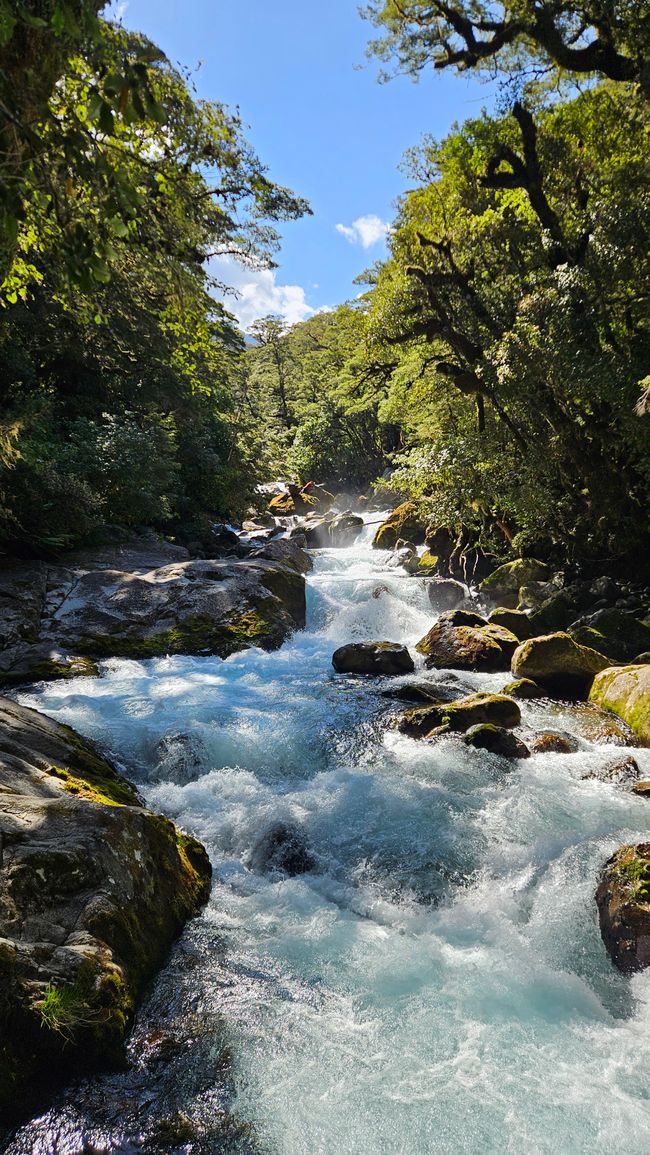Manapouri - Te Anau - Milford Sound