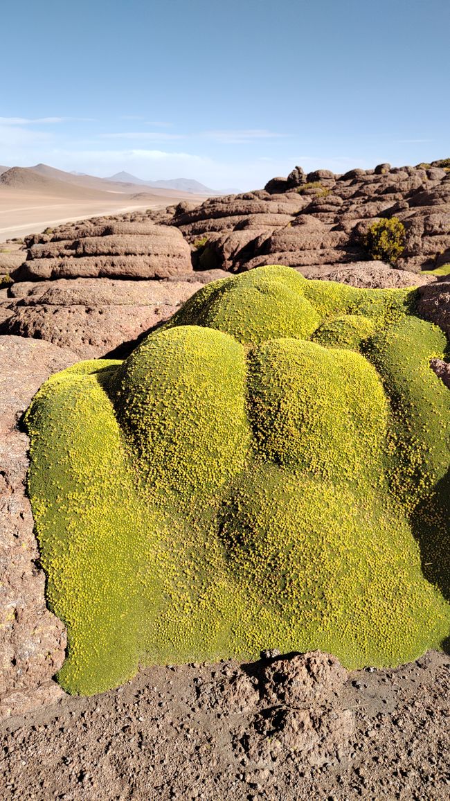 Bolivia, Tour de Lagunas