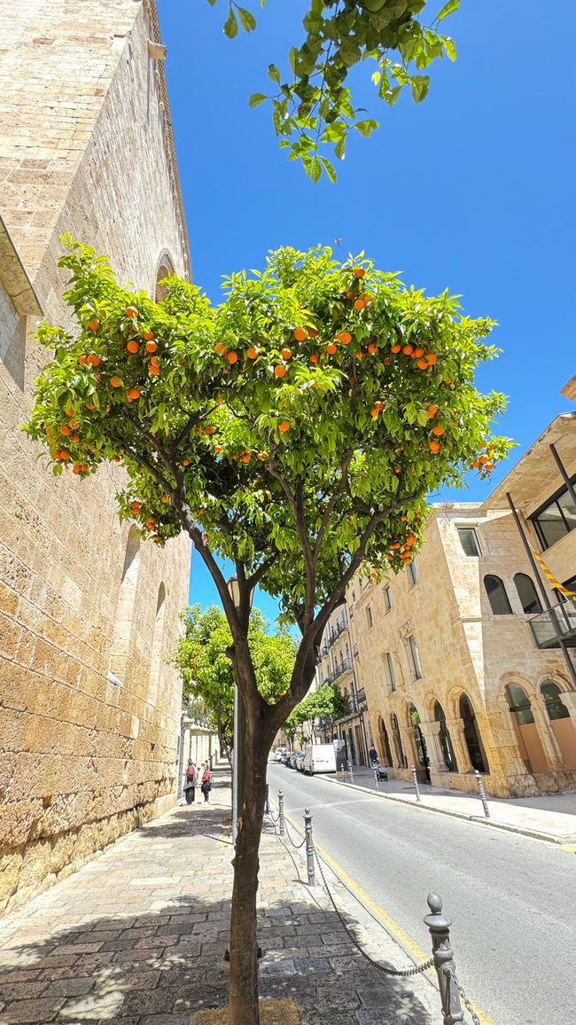 Tarragona - Vilanovapark 4 Sterne Campingplatz
