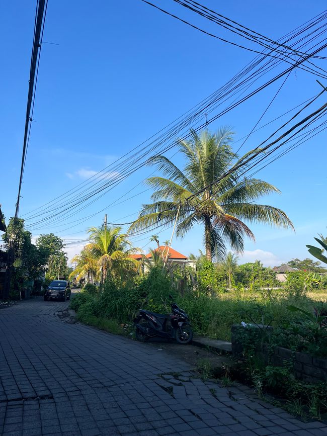 Ubud 