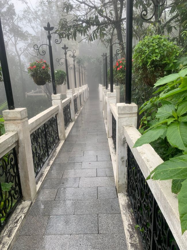 Tag 6 - Hoi An : Un Licorne Endormi et une Aventure dans le Brouillard