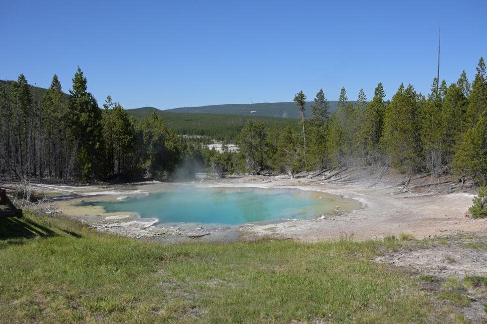 Norris Geyser Basin