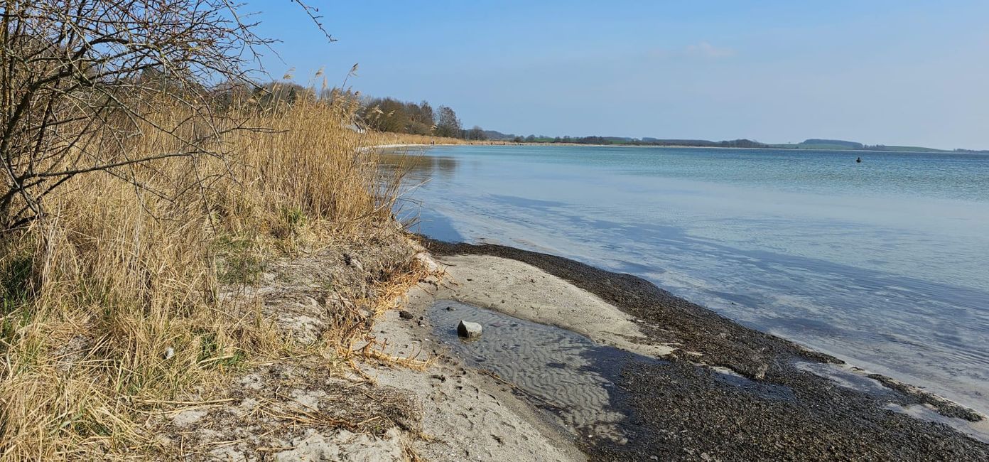 Wieder mal auf Rügen - Beruf und Urlaub in einer harmonischen Symbiose