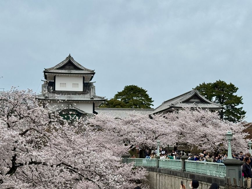 Part 8 Japan 🇯🇵 Kanazawa