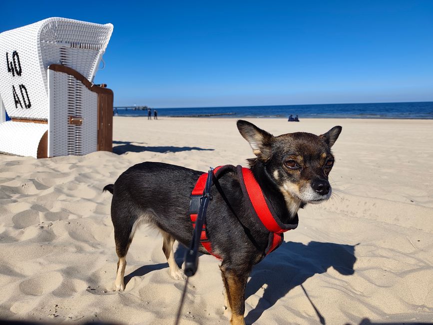 Insel Usedom 