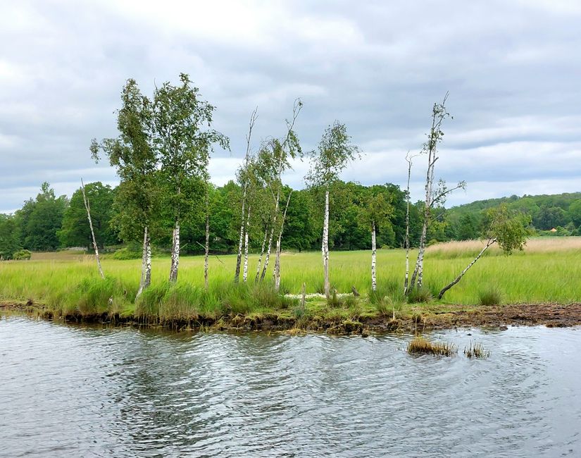 Southern Sweden Tour - Day 6