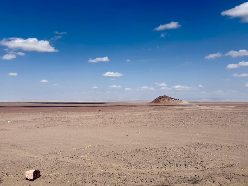 Laguna Cejar y Piedra
