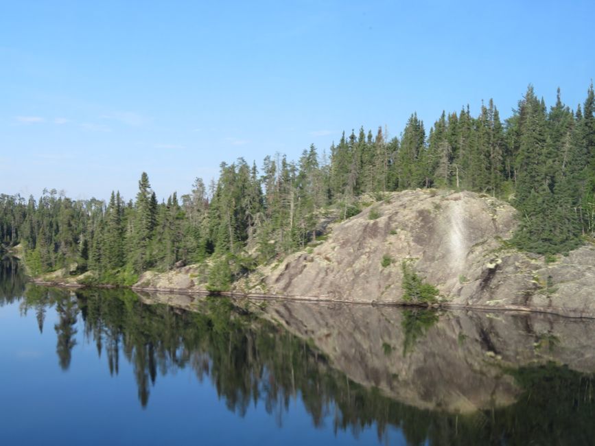 Represa de castores