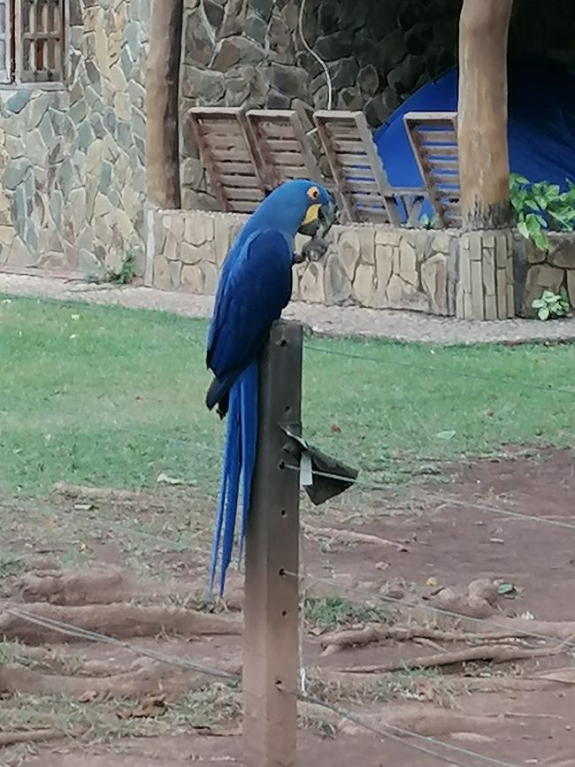 Refugio Canaa Brasil