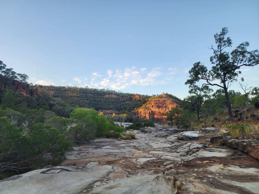 Tag 19, 13. May, Porcupine Gorge und Bowling Green Bay National Park (Alligator Creek)