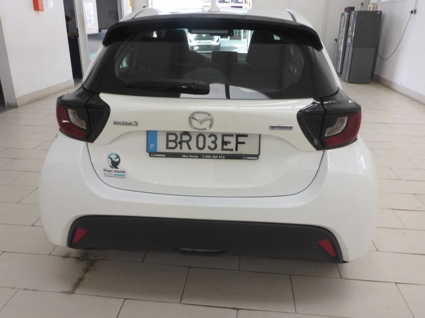 Der Leihwagen