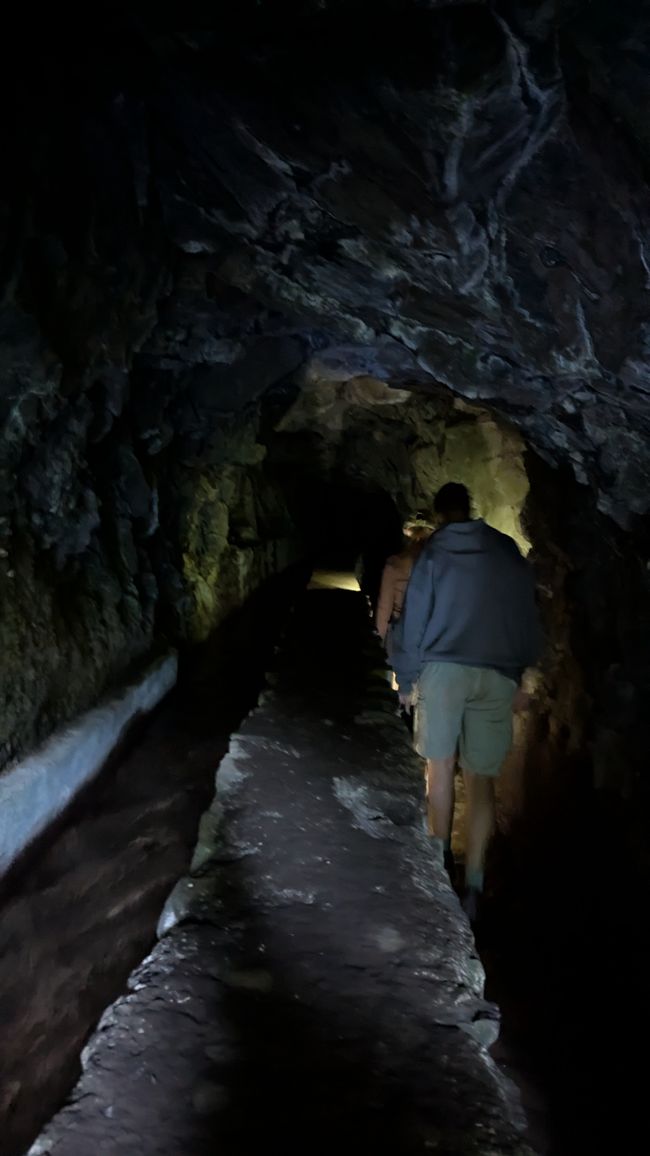 hier heißt es: Kopf einziehen..