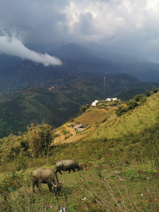 Hacia el norte montañoso hacia SaPa