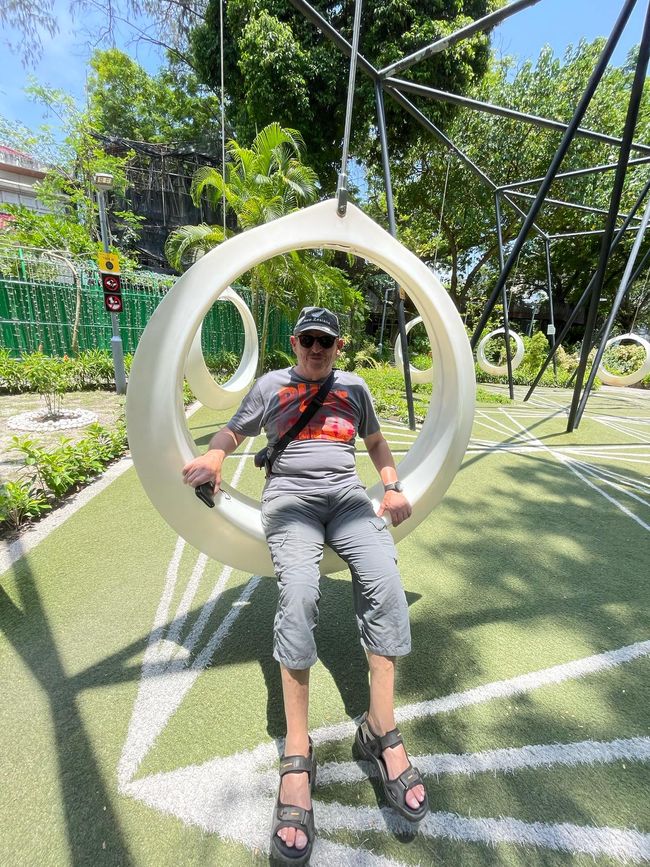 Schaukeln im Park