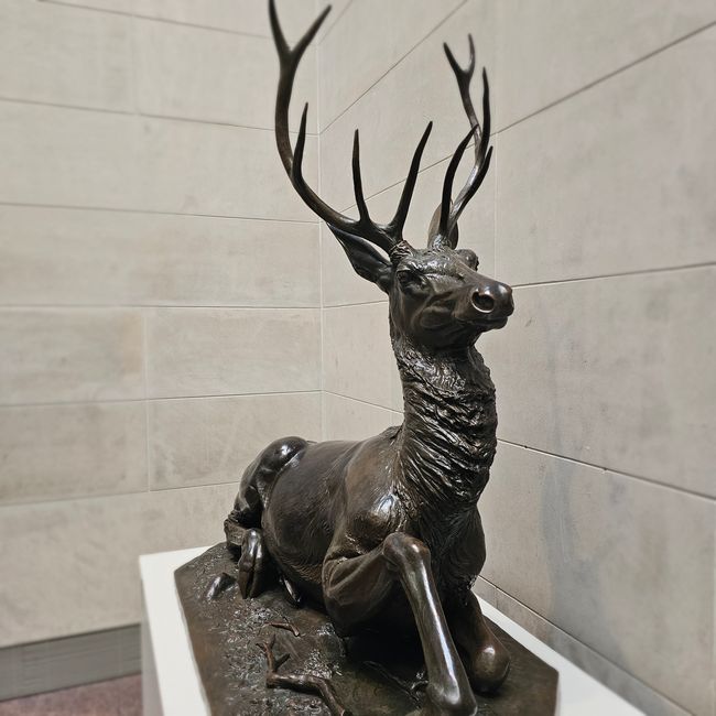 MFAH Photos de Hannes