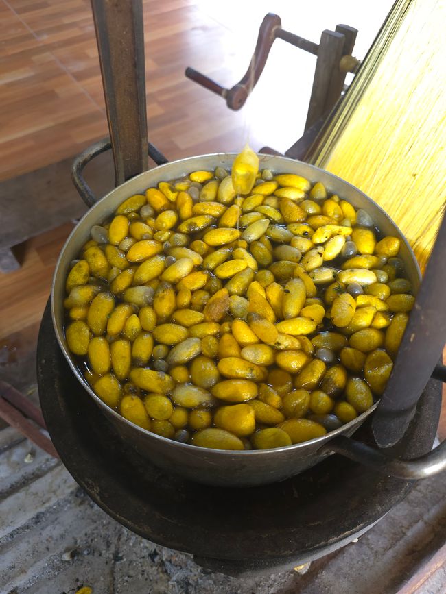 Silk Island Community Center