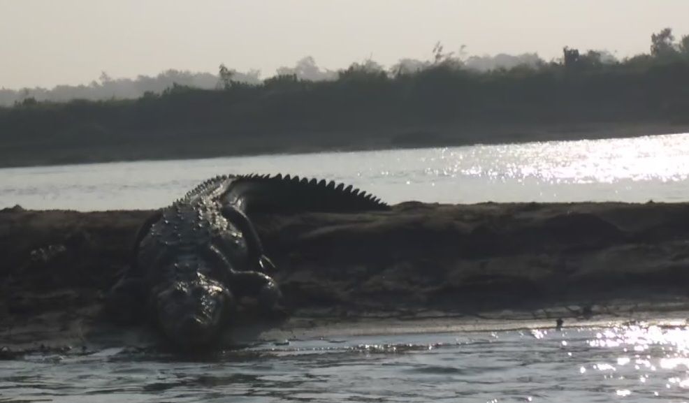 2024-11-18 Chitwan Nationalpark