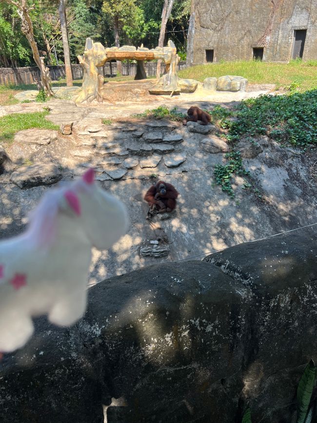 Tag 16 - Phu Quoc: Tierische Higloghts und glitzerndes Einhorn