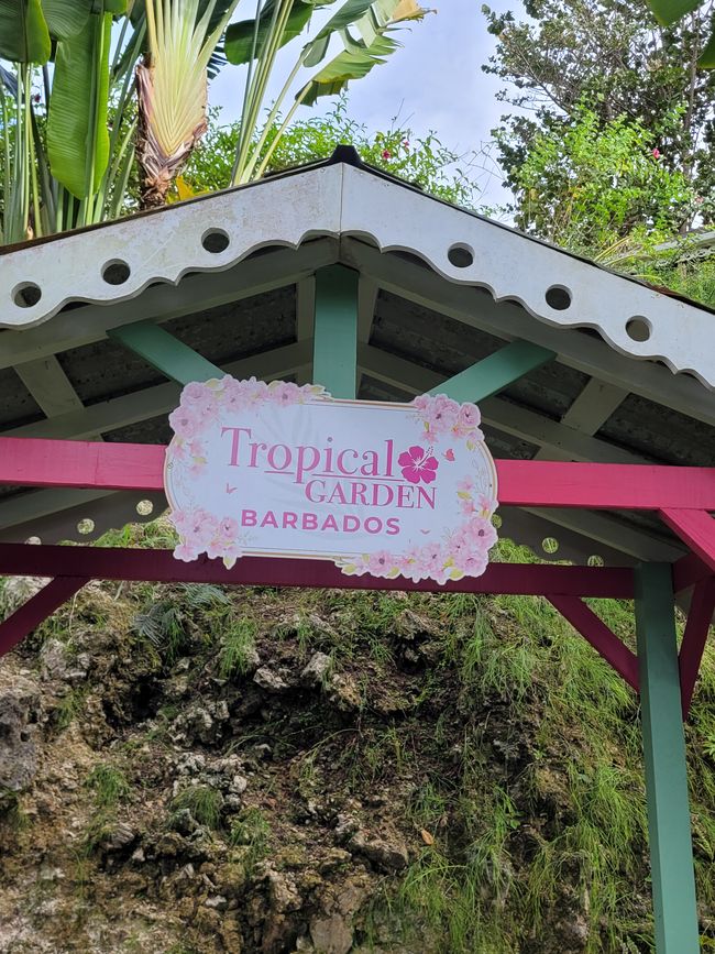 Tag 20 von 175: Kreuzfahrt rund um die Welt - Bridgetown/Barbados