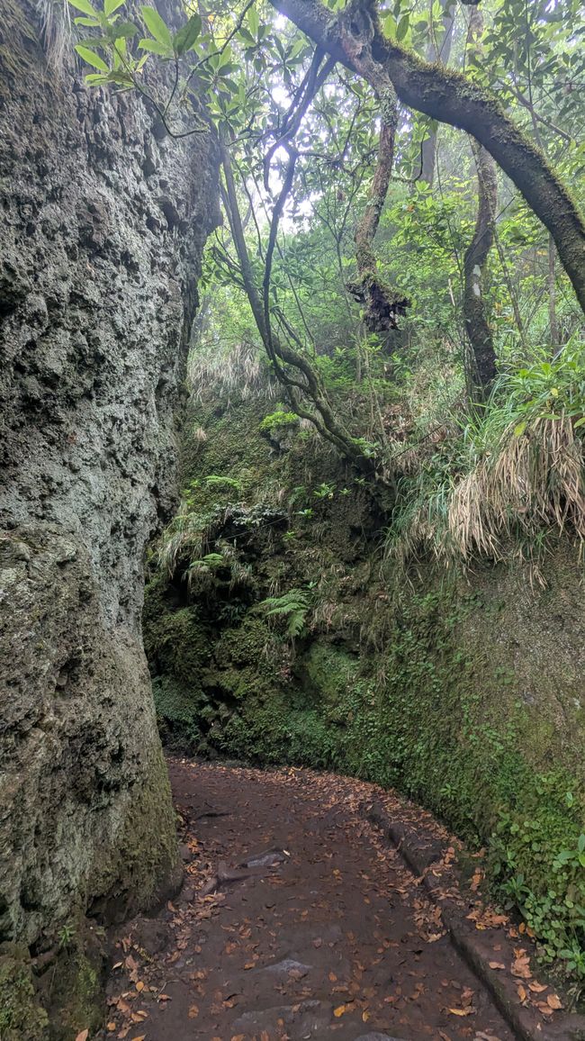 Tag 12: Dem Himmel so nah -  Pico do Areeio