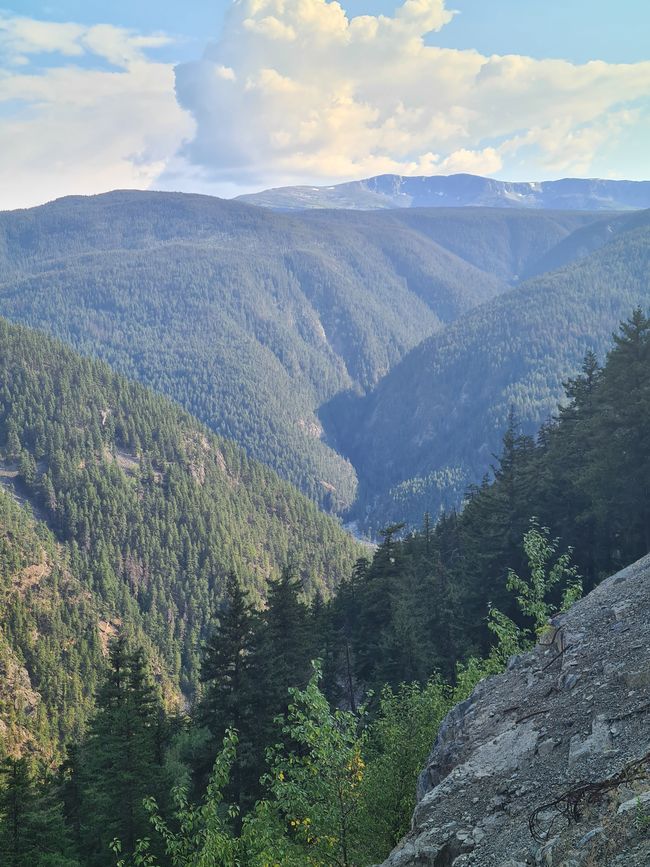 View into the valley (Atnarko River)