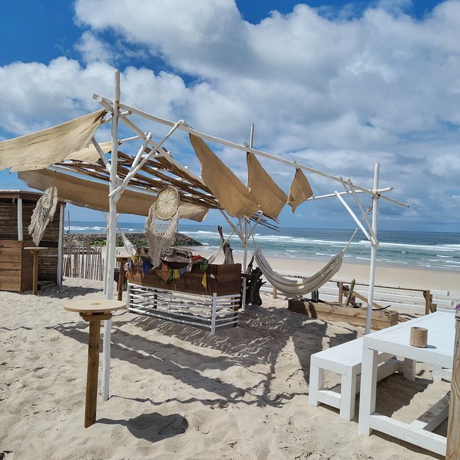 Aveiro -> Praia da Costa Nova
