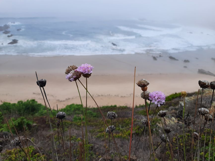 5. Etapa: con ampollas por la niebla