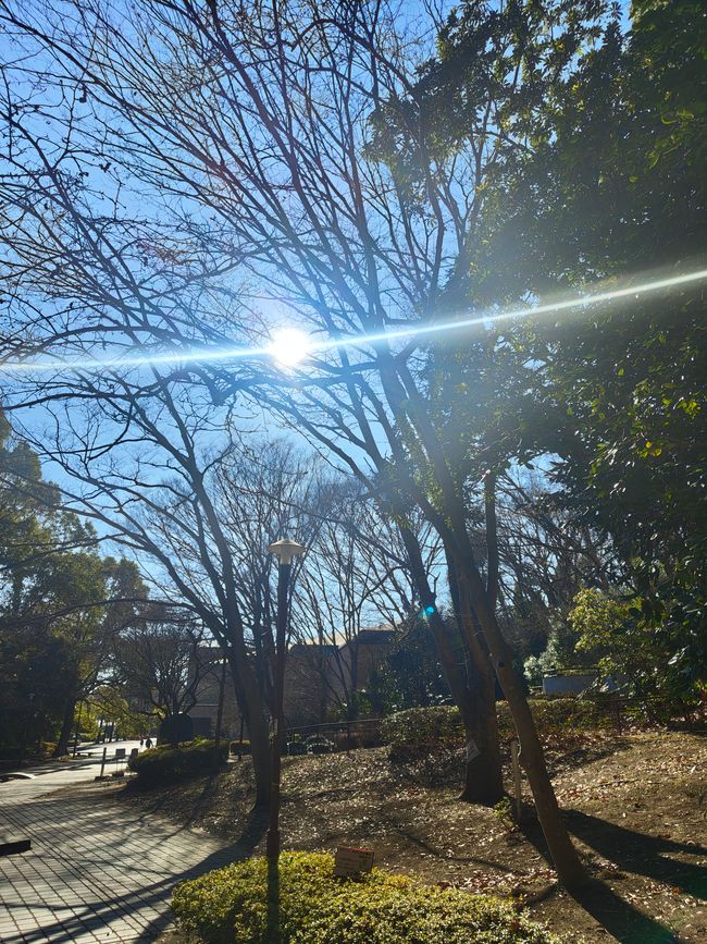 Impressionen aus dem Serigaya Park #8