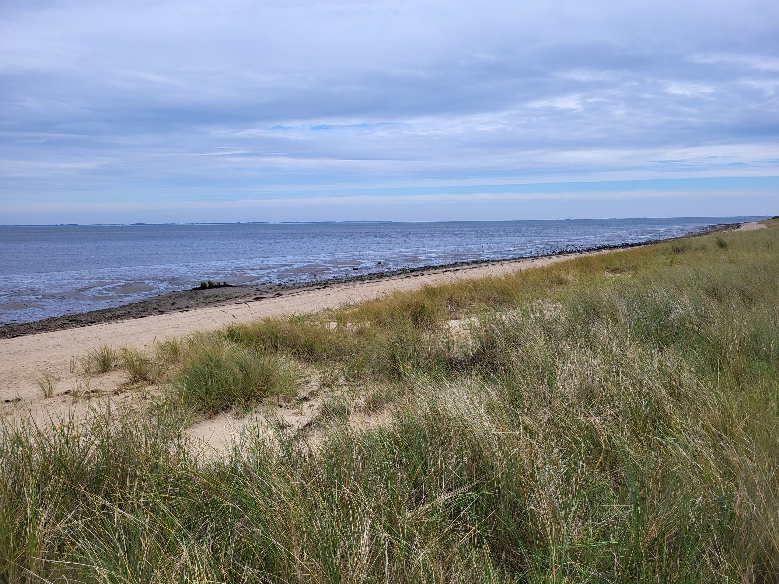 Randonnée Amrum