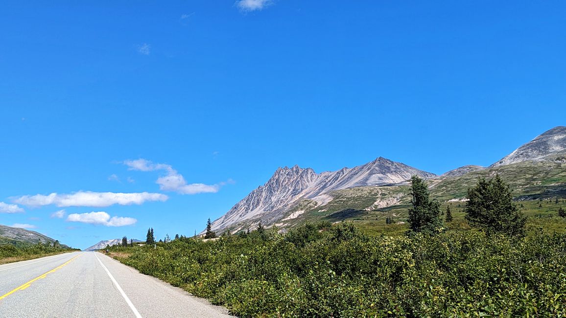 Tag 27: Bärenshow & fantastische Bergwelten - zurück nach Yukon/Kanada