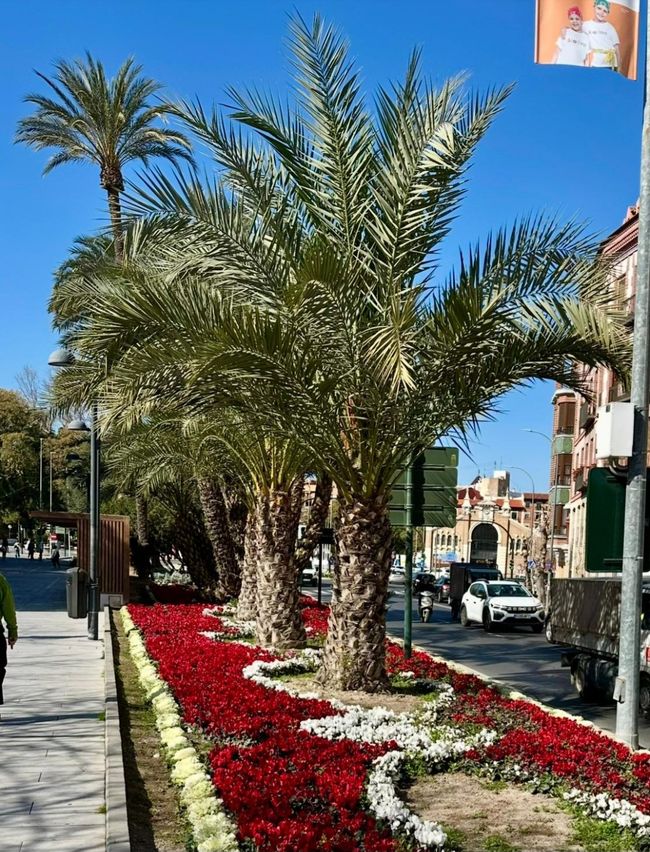 Palmen und blumenam Wegesrand