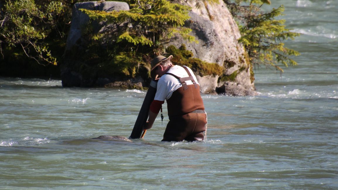 Day 26: Chilkoot River - a big bear show & photoshoot with 'Lulu'