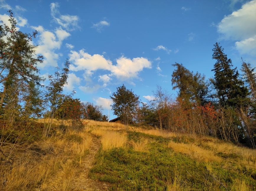 ...everything shines in the light of the low evening sun