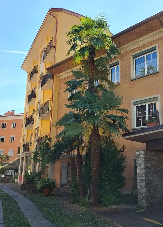 Tour della Toscana 2026